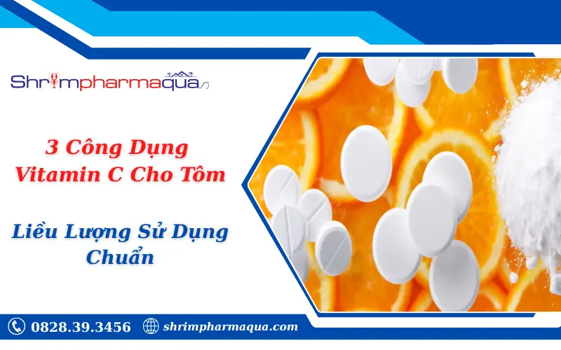3 Công Dụng Vitamin C Cho Tôm & Liều Lượng Sử Dụng Chuẩn