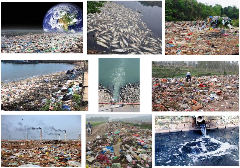 Các Loại Ô Nhiễm Cần Xử Lý Bằng Vi Sinh (Target Pollutants)