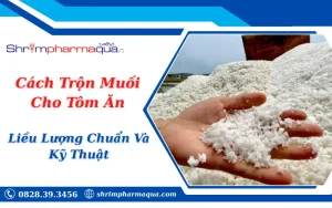 Cách Trộn Muối Cho Tôm Ăn
