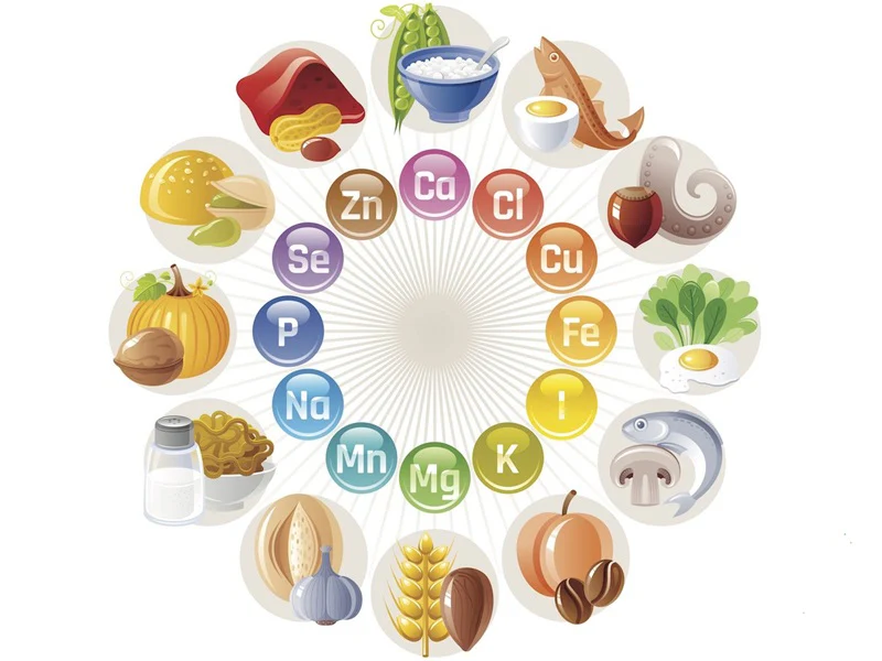 Chi Tiết Từng Loại Khoáng Và Cách Bổ Sung