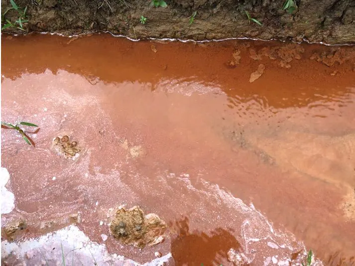 Dấu Hiệu Nhận Biết Đất Nhiễm Phèn Nhanh Chóng