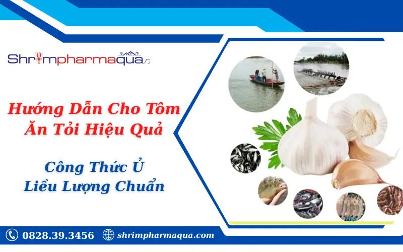 Hướng Dẫn Cho Tôm Ăn Tỏi Hiệu Quả