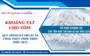 KHOÁNG TẠT CHO TÔM: QUY TRÌNH KỸ THUẬT VÀ CÔNG THỨC PHỐI TRỘN HIỆU QUẢ