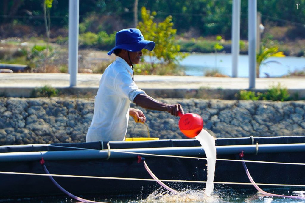 Người nuôi tạt vi sinh để ức chế khuẩn có hại