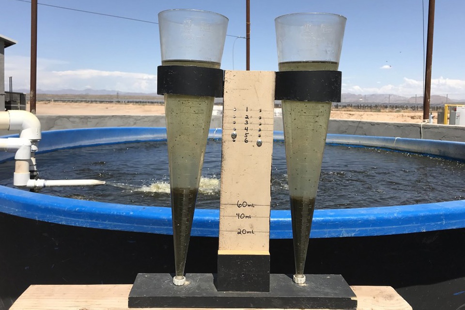 Nguyên Lý Cốt Lõi: Cân Bằng C:N và Vi Sinh Vật