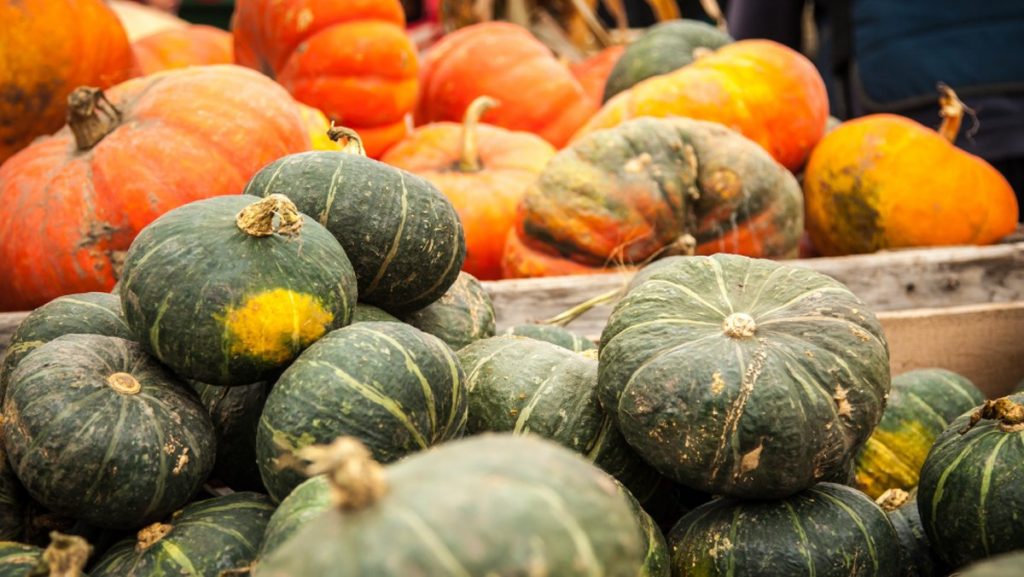 Tại Sao Nên Cho Tôm Ăn Bí Đỏ Thay Vì Hóa Chất