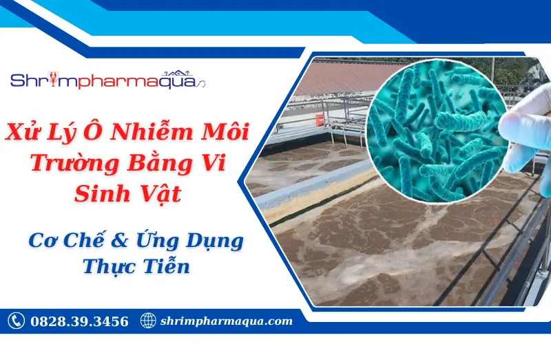 Xử Lý Ô Nhiễm Môi Trường Bằng Vi Sinh Vật: Cơ Chế & Ứng Dụng Thực Tiễn