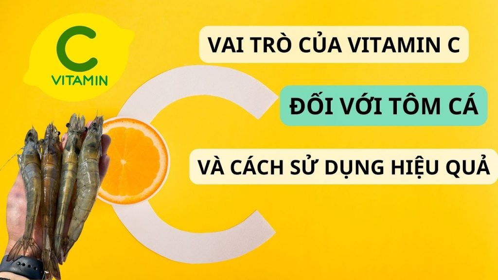 Công Dụng Vàng Của Vitamin C