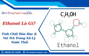 Ethanol Là Gì? Tính Chất Hóa Học & Vai Trò Trong Xử Lý Nước Thải