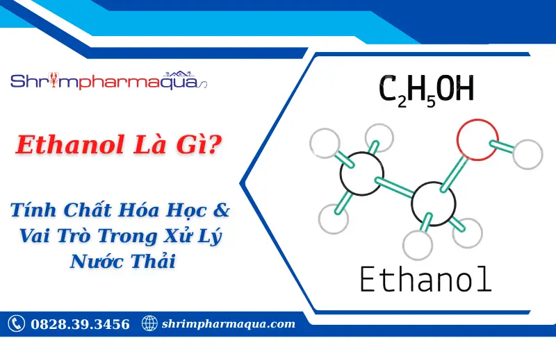 Ethanol Là Gì? Tính Chất Hóa Học & Vai Trò Trong Xử Lý Nước Thải
