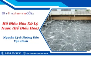 Hồ Điều Hòa Xử Lý Nước (Bể Điều Hòa): Nguyên Lý & Hướng Dẫn Vận Hành