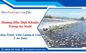Hướng Dẫn Diệt Khuẩn Trong Ao Nuôi: Quy Trình, Liều Lượng & Lưu Ý An Toàn