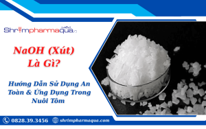 NaOH (Xút) Là Gì? Hướng Dẫn Sử Dụng An Toàn & Ứng Dụng Trong Nuôi Tôm