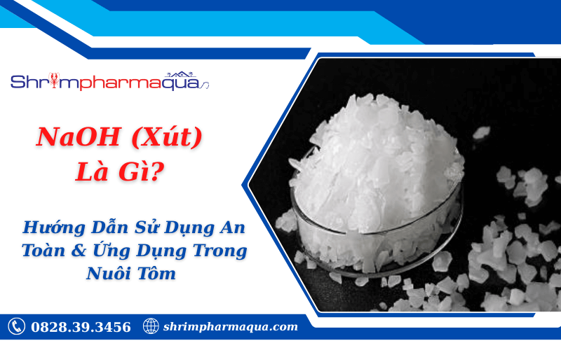 NaOH (Xút) Là Gì? Hướng Dẫn Sử Dụng An Toàn & Ứng Dụng Trong Nuôi Tôm