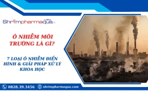 Ô NHIỄM MÔI TRƯỜNG LÀ GÌ? 7 LOẠI Ô NHIỄM ĐIỂN HÌNH & GIẢI PHÁP XỬ LÝ KHOA HỌC