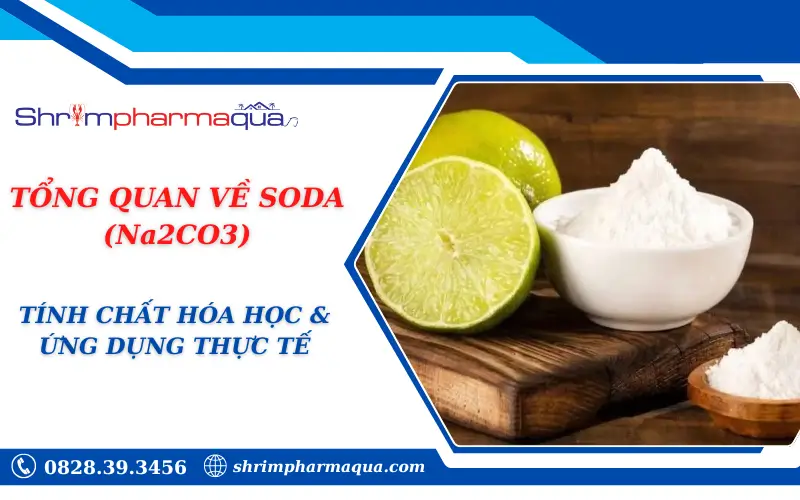TỔNG QUAN VỀ SODA (Na2CO3): TÍNH CHẤT HÓA HỌC & ỨNG DỤNG THỰC TẾ