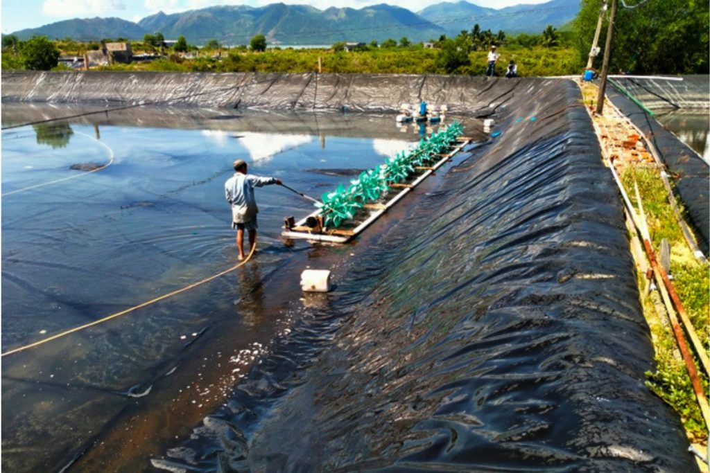 Ứng Dụng Thực Tiễn Của NaOH Trong Nuôi Tôm