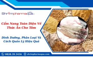 Cẩm Nang Toàn Diện Về Thức Ăn Cho Tôm: Dinh Dưỡng, Phân Loại Và Cách Quản Lý Hiệu Quả