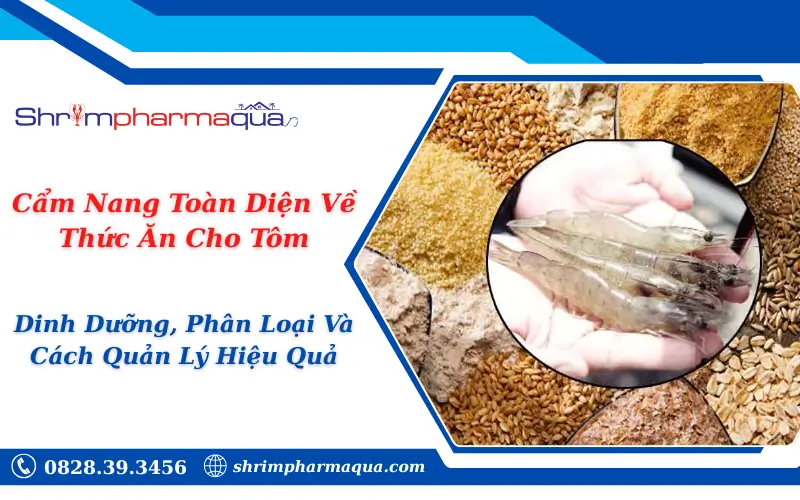 Cẩm Nang Toàn Diện Về Thức Ăn Cho Tôm: Dinh Dưỡng, Phân Loại Và Cách Quản Lý Hiệu Quả