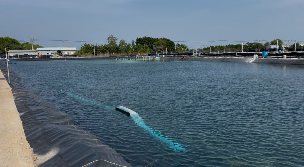 Chuẩn Bị Ao Nuôi & Nguồn Nước Đầu Vào