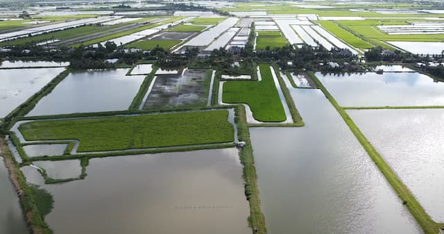 Mô Hình Quảng Canh Cải Tiến