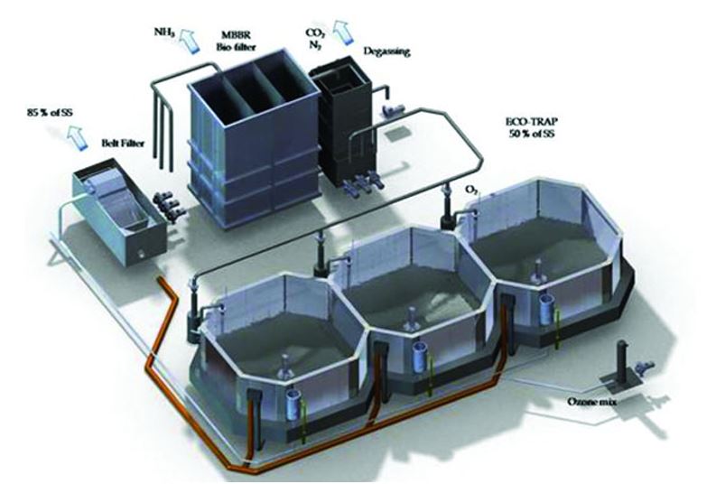NGUYÊN LÝ HOẠT ĐỘNG CỐT LÕI CỦA RAS