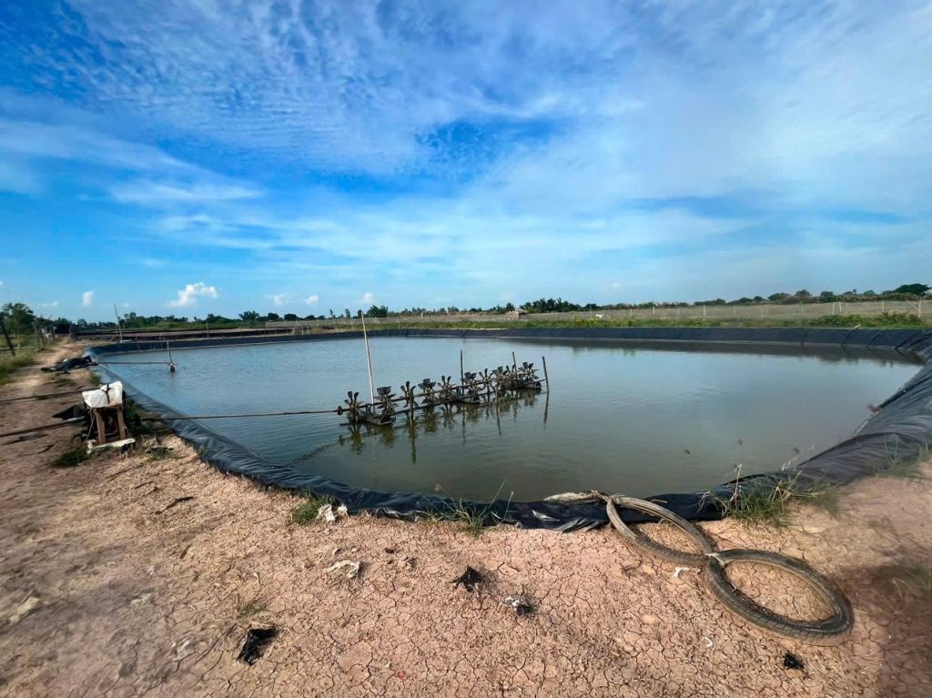 Shrimpharmaqua – Đồng hành cùng người nuôi trên hành trình phát triển bền vững nông nghiệp xanh