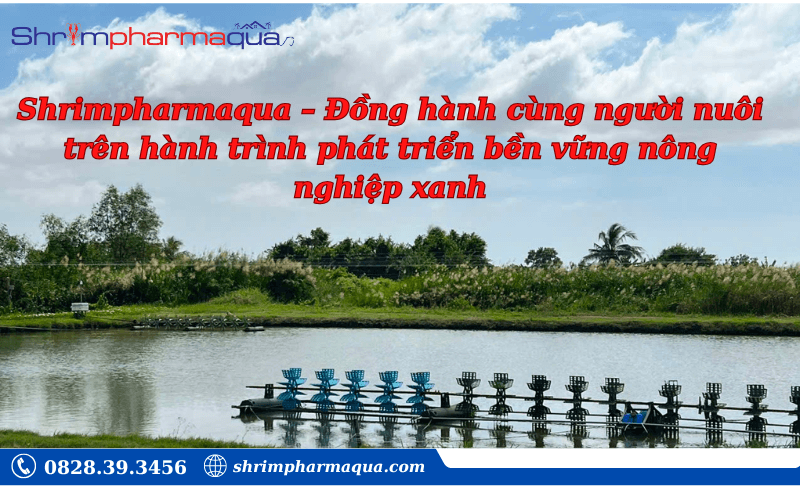 Shrimpharmaqua – Đồng hành cùng người nuôi