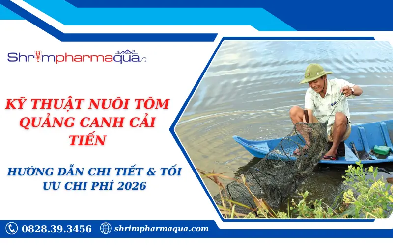 KỸ THUẬT NUÔI TÔM QUẢNG CANH CẢI TIẾN: HƯỚNG DẪN CHI TIẾT & TỐI ƯU CHI PHÍ 2026